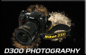 D300
